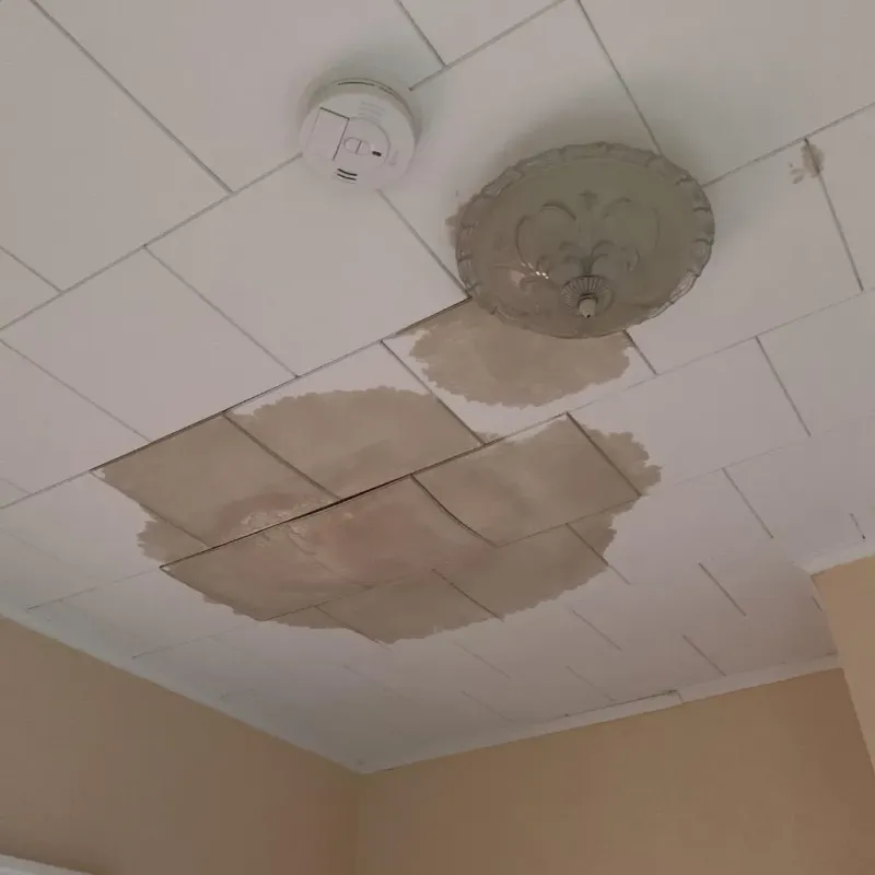 Ceiling Water Damage Repair in Bowling Green, FL