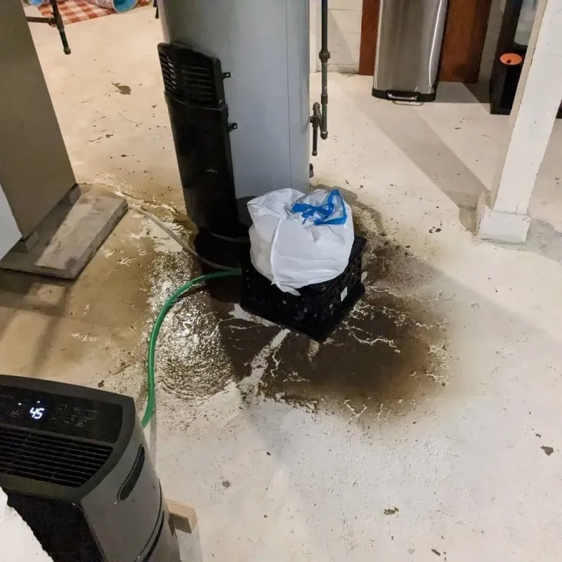 Sewage Backup Cleanup Service in Bowling Green, FL